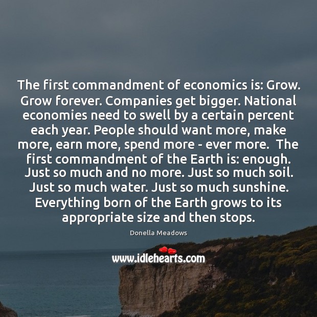 The first commandment of economics is: Grow. Grow forever. Companies get bigger. 