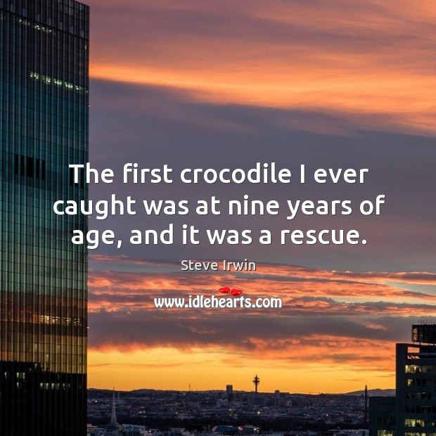 The first crocodile I ever caught was at nine years of age, and it was a rescue. Image