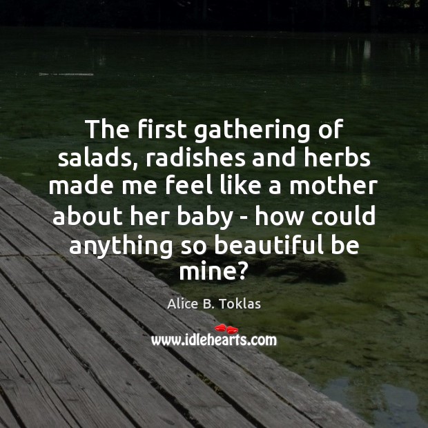 The first gathering of salads, radishes and herbs made me feel like Alice B. Toklas Picture Quote