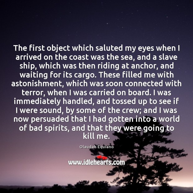 The first object which saluted my eyes when I arrived on the 