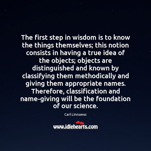 The first step in wisdom is to know the things themselves; this Image