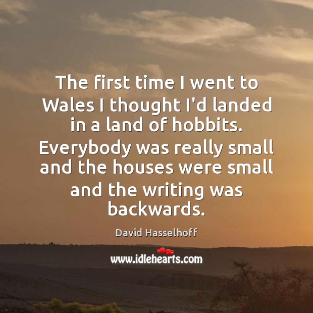 The first time I went to Wales I thought I’d landed in David Hasselhoff Picture Quote