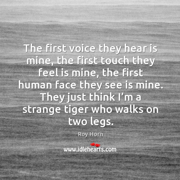 The first voice they hear is mine, the first touch they feel is mine, the first human face they see is mine. Image