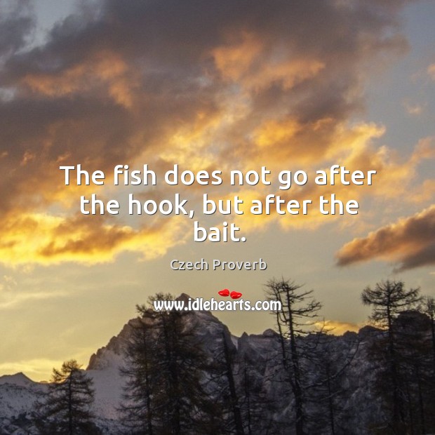 The fish does not go after the hook, but after the bait. Czech Proverbs Image