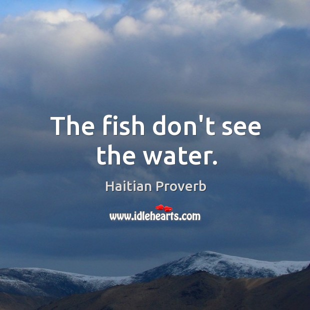 The fish don’t see the water. Haitian Proverbs Image