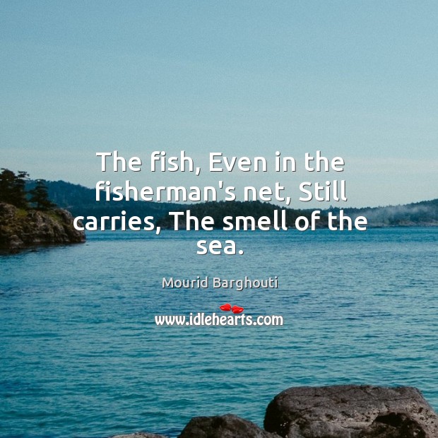The fish, Even in the fisherman’s net, Still carries, The smell of the sea. Mourid Barghouti Picture Quote