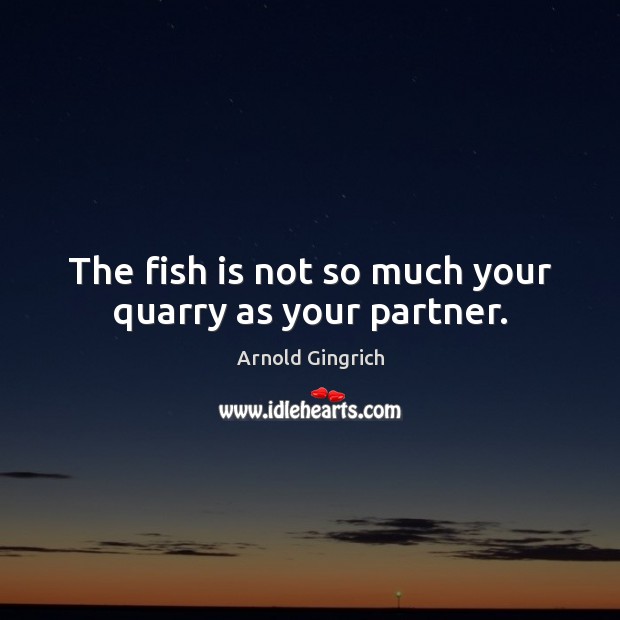 The fish is not so much your quarry as your partner. Arnold Gingrich Picture Quote