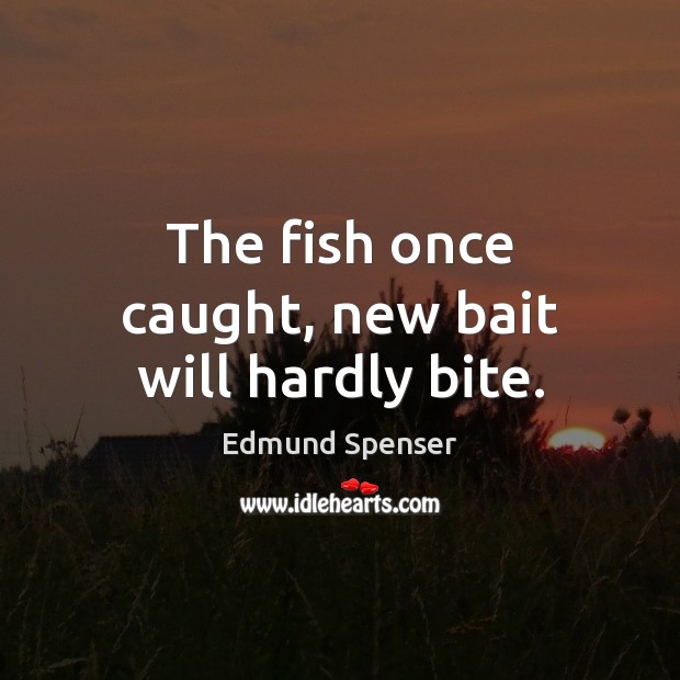 The fish once caught, new bait will hardly bite. Edmund Spenser Picture Quote