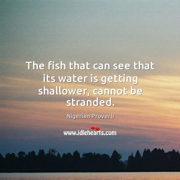 The fish that can see that its water is getting shallower, cannot be stranded. Image