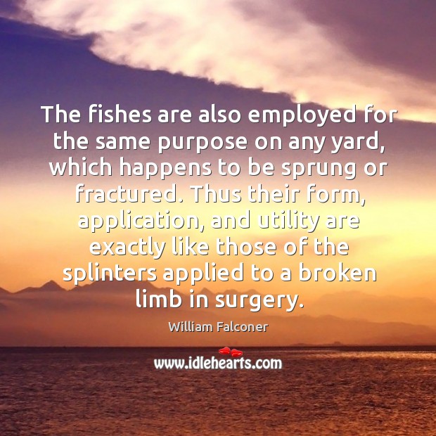 The fishes are also employed for the same purpose on any yard, which happens to be sprung or fractured. William Falconer Picture Quote