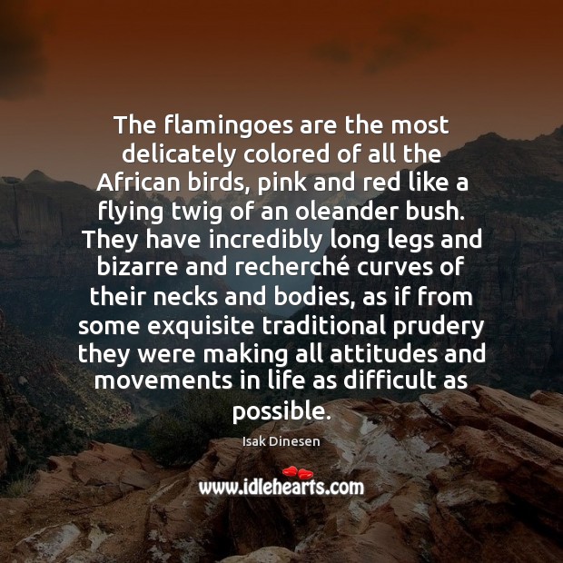 The flamingoes are the most delicately colored of all the African birds, Isak Dinesen Picture Quote
