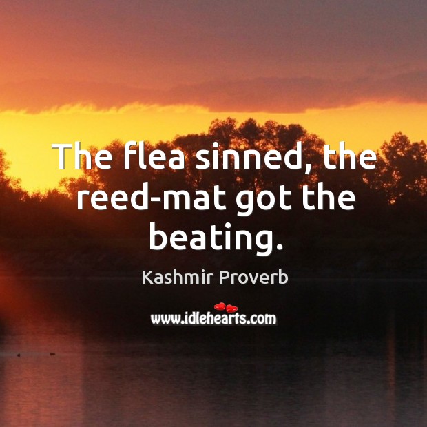 The flea sinned, the reed-mat got the beating. Kashmir Proverbs Image