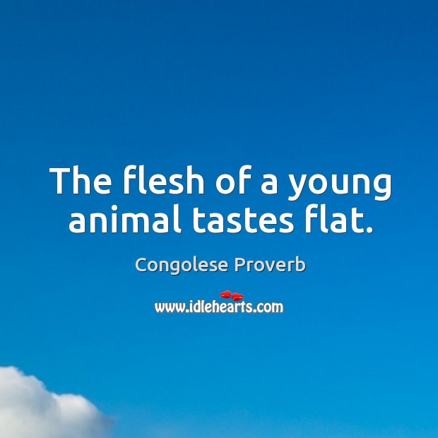 The flesh of a young animal tastes flat. Congolese Proverbs Image