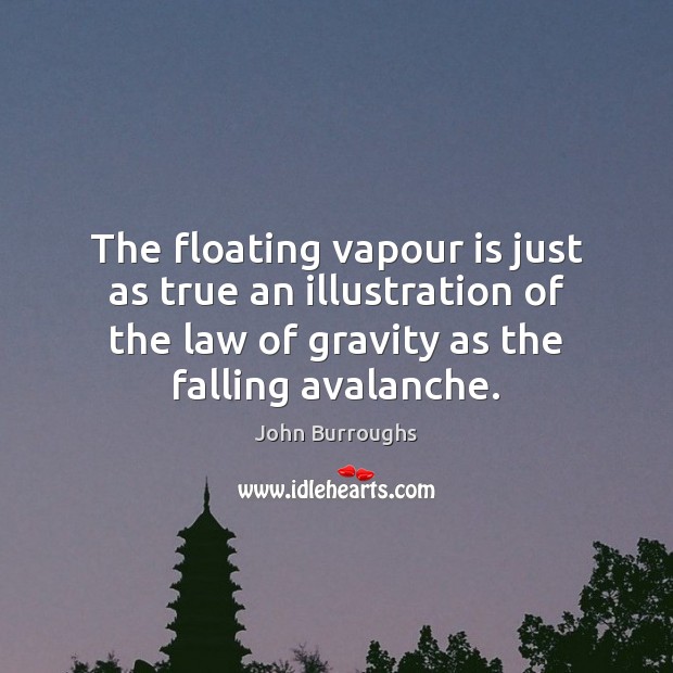 The floating vapour is just as true an illustration of the law John Burroughs Picture Quote