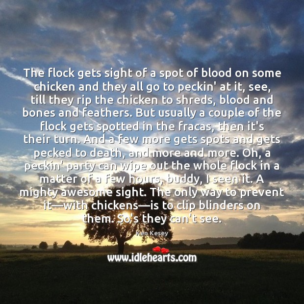 The flock gets sight of a spot of blood on some chicken Image