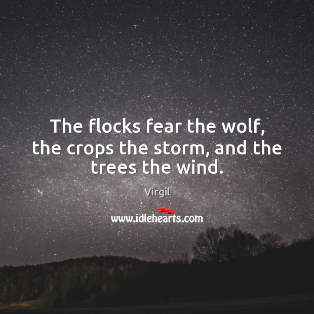The flocks fear the wolf, the crops the storm, and the trees the wind. Virgil Picture Quote