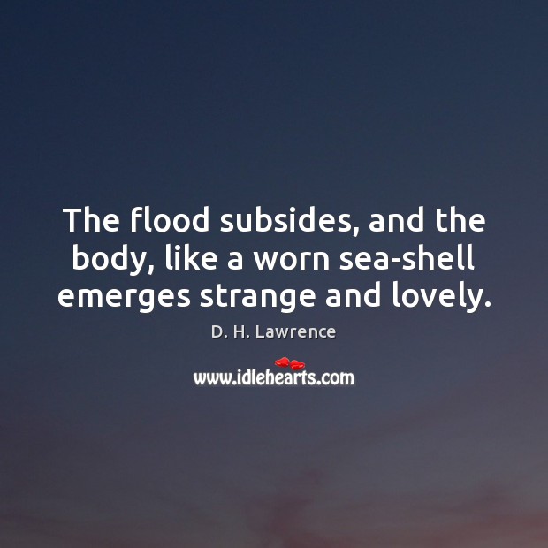 The flood subsides, and the body, like a worn sea-shell emerges strange and lovely. D. H. Lawrence Picture Quote