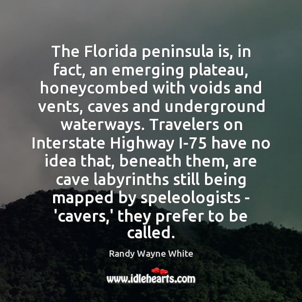 The Florida peninsula is, in fact, an emerging plateau, honeycombed with voids Randy Wayne White Picture Quote