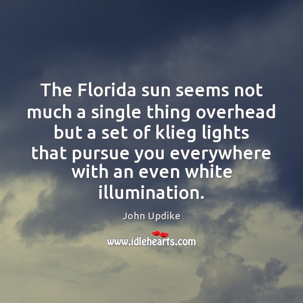 The Florida sun seems not much a single thing overhead but a John Updike Picture Quote