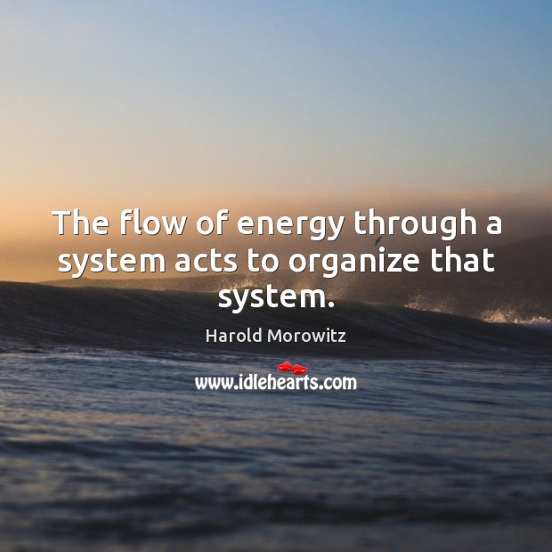 The flow of energy through a system acts to organize that system. Harold Morowitz Picture Quote