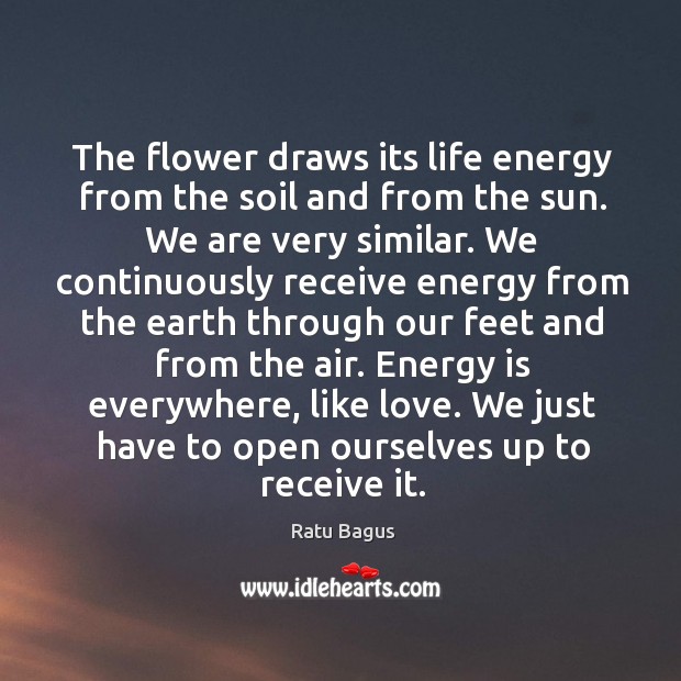 The flower draws its life energy from the soil and from the Ratu Bagus Picture Quote