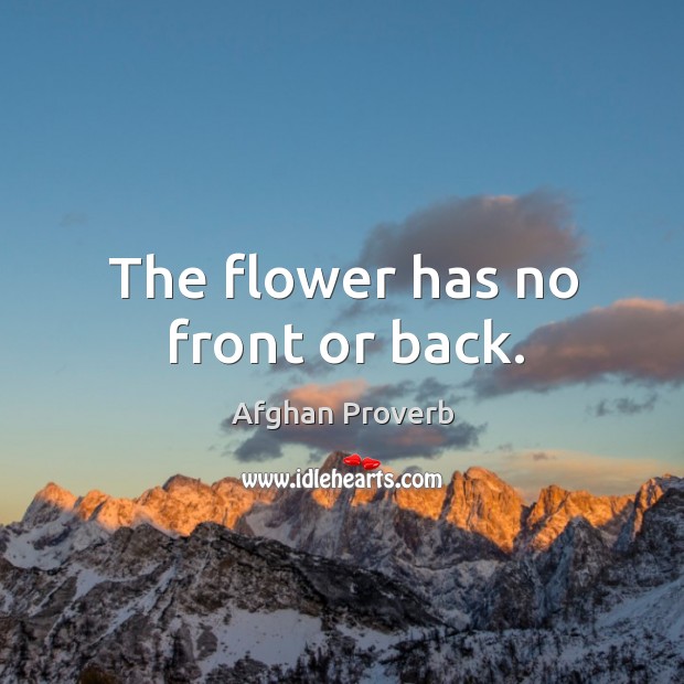 The flower has no front or back. Afghan Proverbs Image