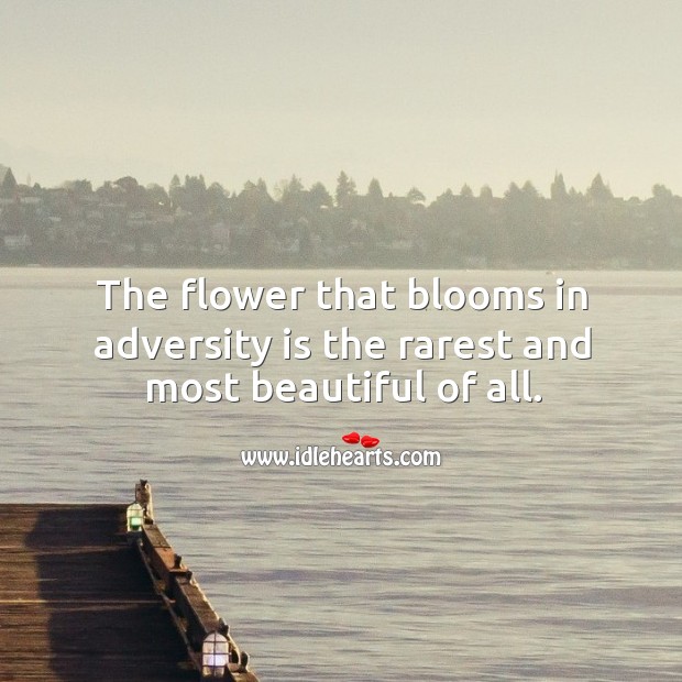The flower that blooms in adversity is the rarest and most beautiful of all. Flowers Quotes Image