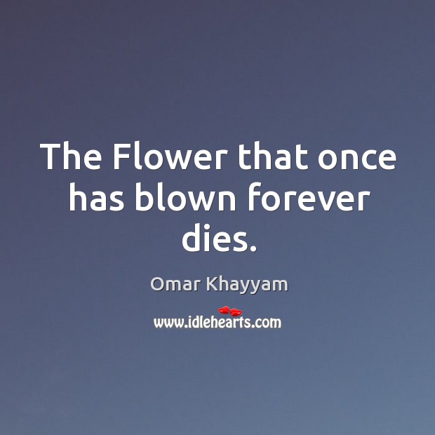 The Flower that once has blown forever dies. Omar Khayyam Picture Quote