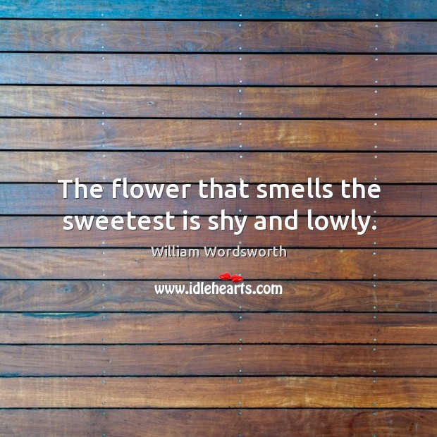 The flower that smells the sweetest is shy and lowly. William Wordsworth Picture Quote