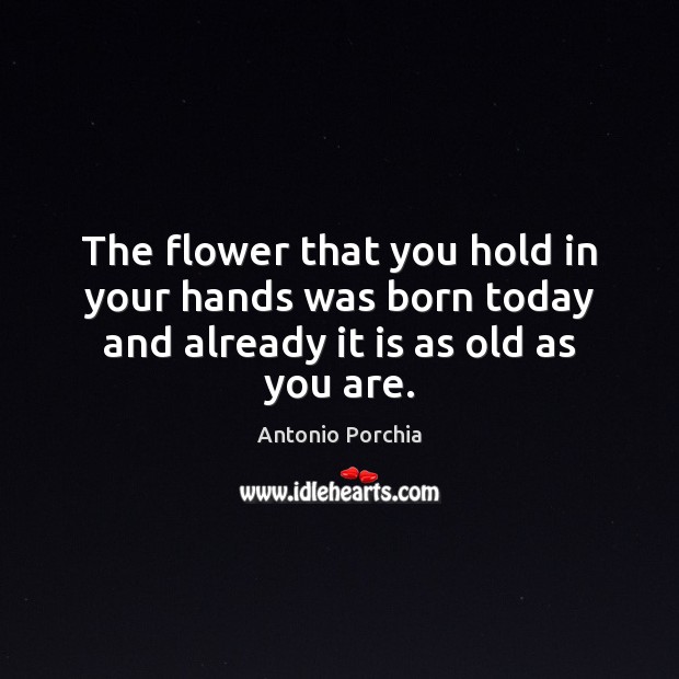 The flower that you hold in your hands was born today and already it is as old as you are. Image