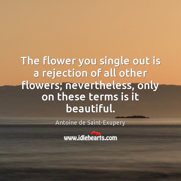 The flower you single out is a rejection of all other flowers; Antoine de Saint-Exupery Picture Quote