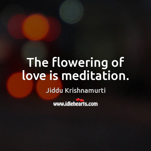 The flowering of love is meditation. Jiddu Krishnamurti Picture Quote