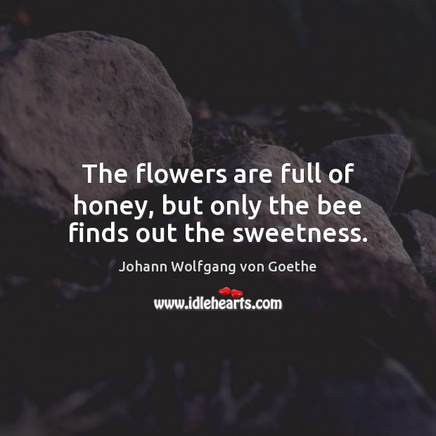 The flowers are full of honey, but only the bee finds out the sweetness. Johann Wolfgang von Goethe Picture Quote