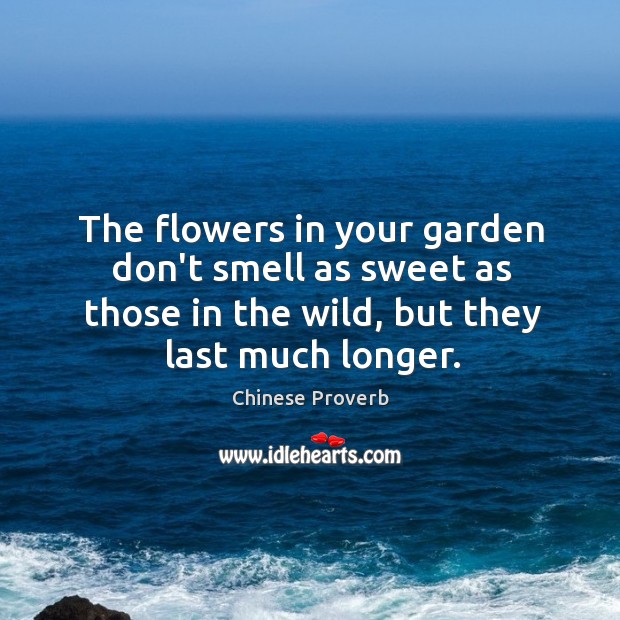 The flowers in your garden don’t smell as sweet as those in the wild Chinese Proverbs Image