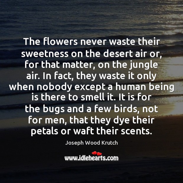 The flowers never waste their sweetness on the desert air or, for Joseph Wood Krutch Picture Quote