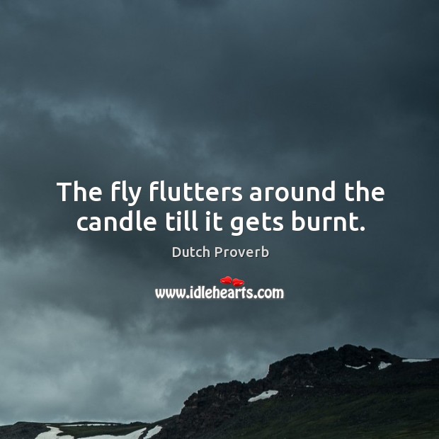The fly flutters around the candle till it gets burnt. Image