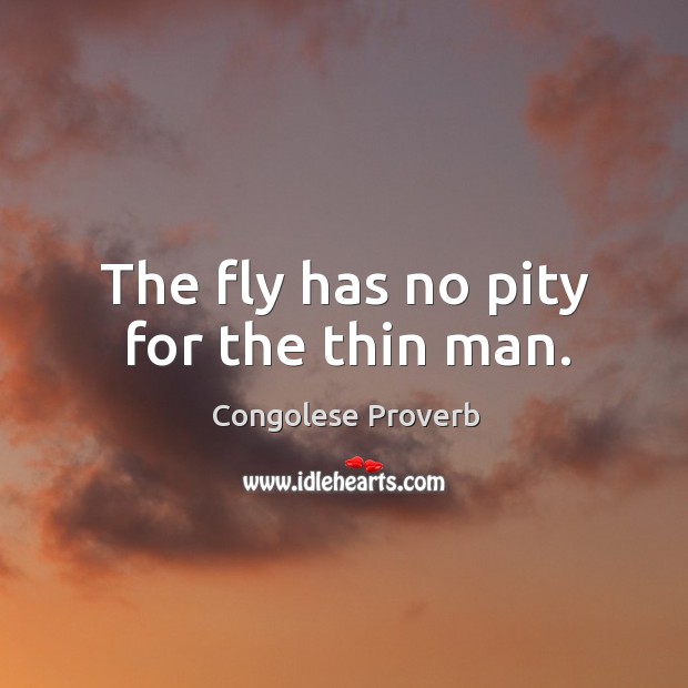 The fly has no pity for the thin man. Congolese Proverbs Image