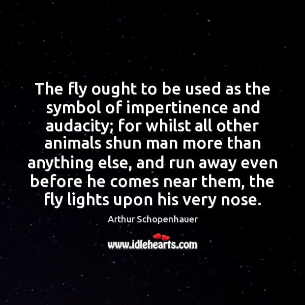 The fly ought to be used as the symbol of impertinence and Arthur Schopenhauer Picture Quote