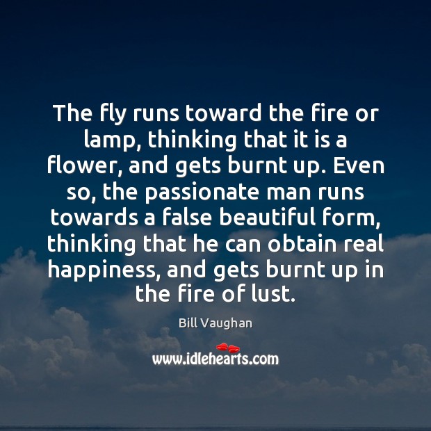 The fly runs toward the fire or lamp, thinking that it is Image
