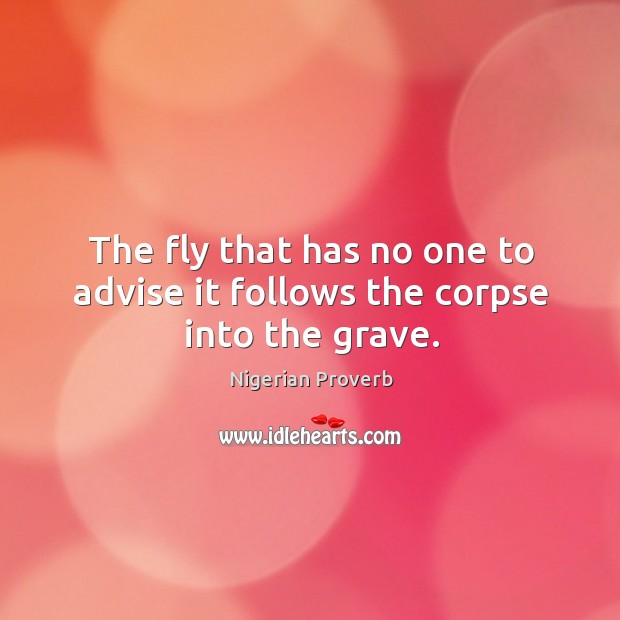 The fly that has no one to advise it follows the corpse into the grave. Nigerian Proverbs Image
