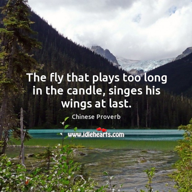 The fly that plays too long in the candle, singes his wings at last. Chinese Proverbs Image