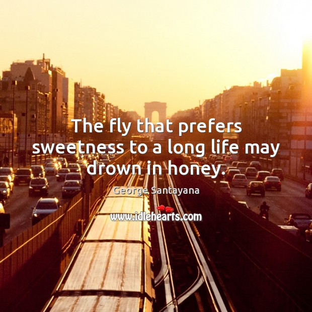 The fly that prefers sweetness to a long life may drown in honey. George Santayana Picture Quote