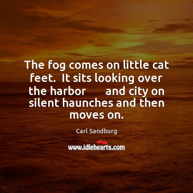 The fog comes on little cat feet.  It sits looking over the Carl Sandburg Picture Quote