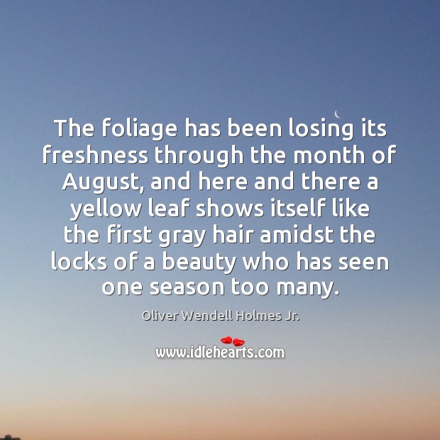 The foliage has been losing its freshness through the month of August, Oliver Wendell Holmes Jr. Picture Quote