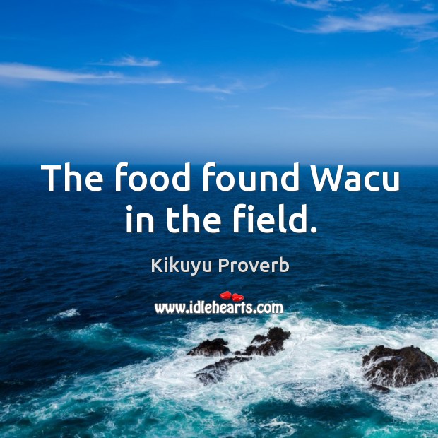 The food found wacu in the field. Kikuyu Proverbs Image