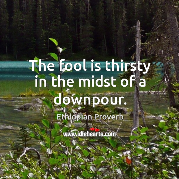 The fool is thirsty in the midst of a downpour. Ethiopian Proverbs Image