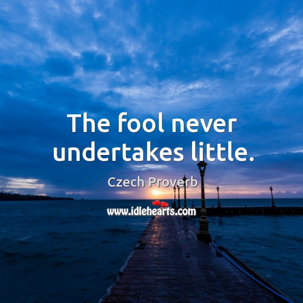 The fool never undertakes little. Czech Proverbs Image