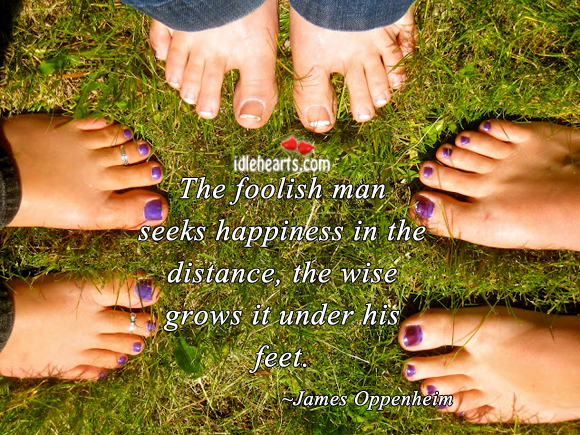 The foolish man seeks happiness in the distance James Oppenheim Picture Quote