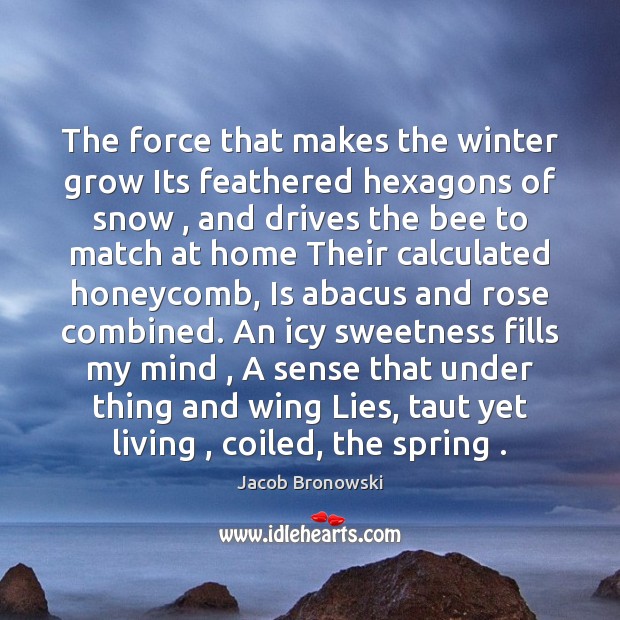 The force that makes the winter grow Its feathered hexagons of snow , Jacob Bronowski Picture Quote
