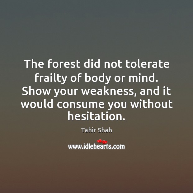 The forest did not tolerate frailty of body or mind. Show your Tahir Shah Picture Quote
